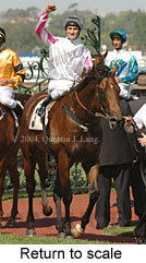 Return to scale (15762 bytes)