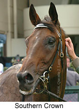 Southern Crown (12397 bytes)