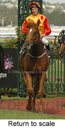 Return to scale (15373 bytes)