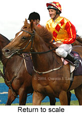 Return to scale (15361 bytes)