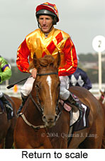 Return to scale (14004 bytes)