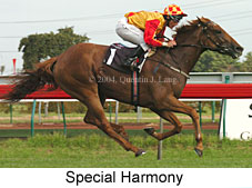 Special Harmony (16022 bytes)