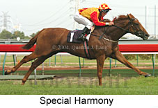 Special Harmony (14356 bytes)