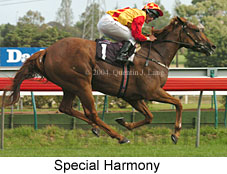 Special Harmony (17884 bytes)