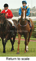 Return to scale (14839 bytes)