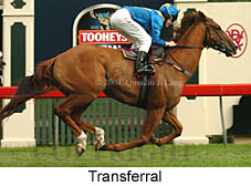 Transferral (16678 bytes)