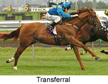 Transferral (14861 bytes)