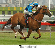 Transferral (16935 bytes)