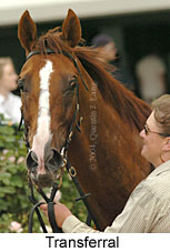 Transferral (12984 bytes)