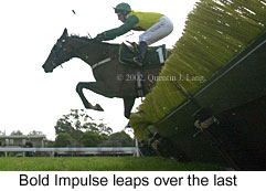 r1boldimpulse.jpg (13092 bytes)