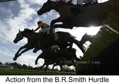 r1brhurdle.jpg (13275 bytes)