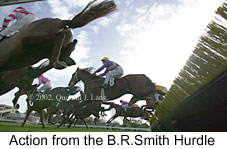 r1brhurdle3.jpg (13638 bytes)