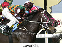 r3levendiz.jpg (16247 bytes)