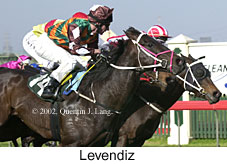 r3levendiz2.jpg (15615 bytes)