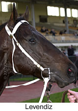 r3levendiz3.jpg (12419 bytes)