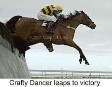 r4craftydancer.jpg (12136 bytes)