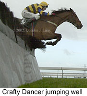 r4craftydancer2.jpg (10996 bytes)