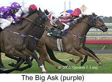 r5thebigask.jpg (15837 bytes)