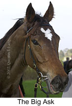 r5thebigask2.jpg (9508 bytes)