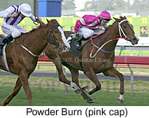 r6powderburn.jpg (17109 bytes)