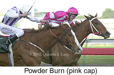 r6powderburn2.jpg (13172 bytes)