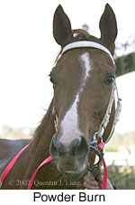 r6powderburn3.jpg (9858 bytes)