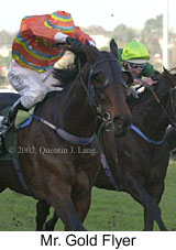 r7mrgoldflyer.jpg (12218 bytes)