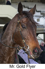 r7mrgoldflyer3.jpg (11541 bytes)