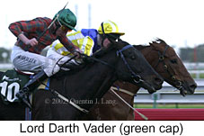 r8lorddarthvader2.jpg (13100 bytes)