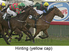 Hinting (15454 bytes)