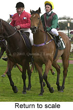 Return to scale (13512 bytes)