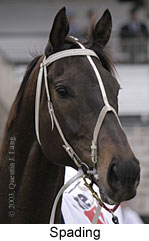 Spading (10350 bytes)