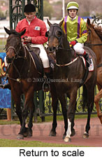 Return to scale (15972 bytes)