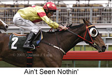 Ain't Seen Nothin' (14829 bytes)