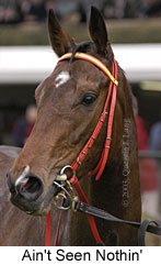 Ain't Seen Nothin' (11674 bytes)