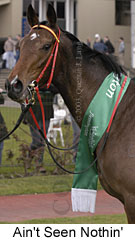 Ain't Seen Nothin' (12219 bytes)