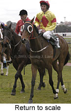 Return to scale (12827 bytes)