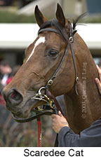 Scaredee Cat (10658 bytes)