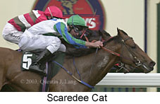 Scaredee Cat (11984 bytes)