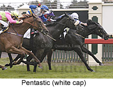 Pentastic (18604 bytes)