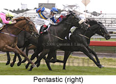 Pentastic (15192 bytes)