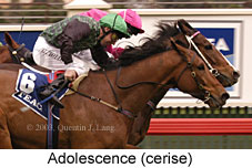 Adolescence (15303 bytes)