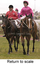 Return to scale (13138 bytes)