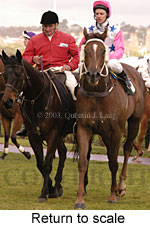 Return to scale (14696 bytes)