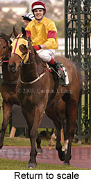 Return to scale (15801 bytes)