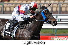 Light Vision (14772 bytes)