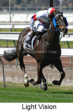 Light Vision (14772 bytes)