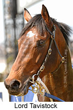 Lord Tavistock (14772 bytes)