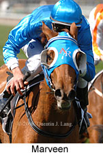 Marveen (14772 bytes)