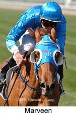 Marveen (14772 bytes)